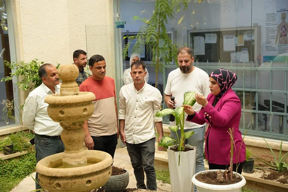 Indoor Plants and the Role of Women in Their Care and Propagation